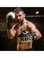Boxerské rukavice 10oz - Harmony - Valor Series
