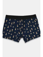 PRÉMIOVÉ PÁNSKE VZOROVANÉ BOXERKY BB006