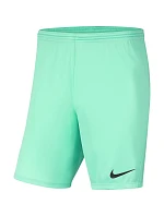 Pánska obuv Dry Park III NB K M BV6855 354 - Nike