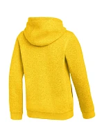 Nike Park 26 fleecová mikina s kapucňou žltá IB1226 719