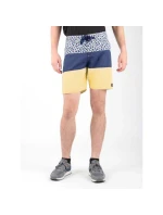Šortky DC SEDYBS03069-BYB0