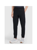 Pánske rýchloschnúce tréningové nohavice 4F 4FWMM00TFTRM1067-20S