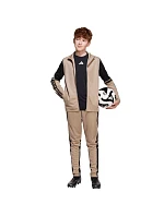 Nohavice adidas Squadra 25 Training Jr JP3371