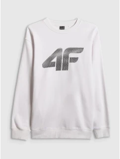 Pánska mikina s kapucňou 4F 4FRAW25TSWSM2493-10S