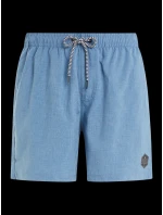 Protestné pánske plážové šortky DAVEY