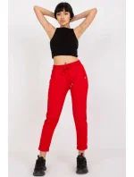 Teplákové nohavice model 166015 BFG