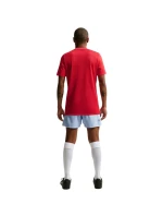Pánske tričko Nike Dri-Fit Park 26 SS Top Red HM7127 657 Pánske