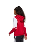 Adidas Squadra 25 Sweat Hoody Jr JD4805 Mikina