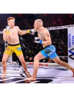 MMAtréningové rukavice S/M - Edge - Valor Series