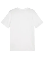 Puma Team Goal Casuals Tee M 658615 04 Pánske