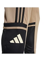 Nohavice adidas Squadra 25 Training M JP3374 Nohavice adidas Squadra 25 Training M JP3374
