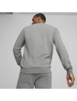 Puma Team Goal Casuals Hoodie M 658592 06 muži