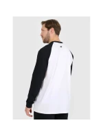 Pánske tričko s dlhým rukávom 4F 4FRAW25TLONM633-10S