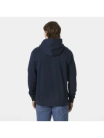 Helly Hansen Core Graphic Sweat Hoodie M 53924 596