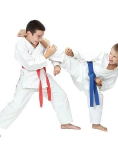 Detské karate kimono + opasok Gratis - DBX BUSHIDO ARK-3102 120 cm