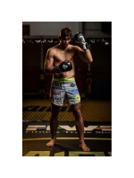 Boxerské rukavice 10oz - Classic White - Origin Series