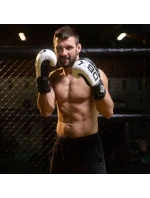 Boxerské rukavice 10oz - Harmony - Valor Series