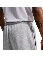 Pánske svetlo šedé fleecové nohavice Nike Park 26 IB1248 063