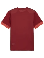 Pánsky dres Puma teamGoal Matchday Jersey burgundy 705747 09 pánsky Pánsky dres Puma teamGoal Matchday Jersey burgundy 705747 09 pánsky
