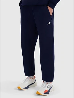 Pánske tepláky typu jogger 4F 4FRMM00TTROM1625-31S