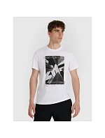 Pánske tričko 4F 4FRAW25TTSHM3258-10S