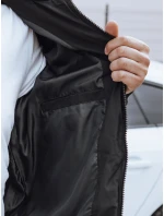 Pánska prešívaná zimná bunda s kapucňou čierna FashionStreet TX4831