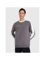 Pánska mikina s kapucňou 4F 4FRAW25TSWSM2457-23S bez svetra