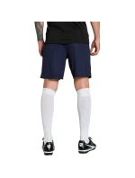 Pánske šortky Puma Team Goal navy blue 705752 06