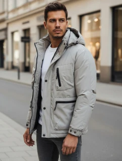 Pánska sivá zimná bunda s kapucňou FashionStreet TX5107