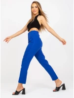 Nohavice BR SP 219.71 kobalt