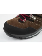 Topánky Aku Alterra Gore-tex M 403313