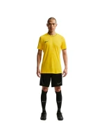 Pánske tričko Nike Dri-Fit Park 26 SS Top yellow HM7127 719 pánske