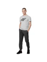 Pánske tričko M H4Z22 TSM353 27M - 4F Pánske tričko M H4Z22 TSM353 27M - 4F