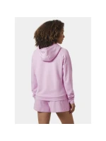 Helly Hansen Core Graphic Hoodie W 54239 052