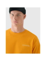 Pánske tričko oversize s potlačou 4F 4FRAW24TTSHM2578-70S