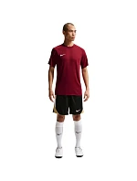Pánske tričko Nike Dri-Fit Park VIII Burgundy HV8173 677 Pánske Pánske tričko Nike Dri-Fit Park VIII Burgundy HV8173 677 Pánske
