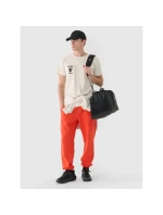 Pánske tepláky typu jogger 4F 4FWMM00TTROM1140-62S