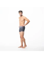 Pánske plavky Stripe M 92800076209 - Aquawave Pánske plavky Stripe M 92800076209 - Aquawave