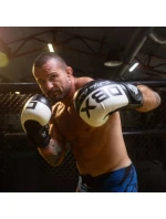 Boxerské rukavice 10oz - Harmony - Valor Series