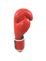 Boxerské rukavice RBT-301W 10 oz (WAKO APPROVED)
