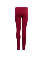 Adidas Essentials Tights Jr HE1971 Adidas Essentials Tights Jr HE1971