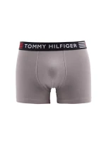 Kufor Flex UM0UM02411-PTM - Tommy Hilfiger