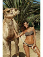 Dvojdielne plavky model 113106 Marko Dvojdielne plavky model 113106 Marko