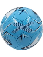 Manchester City FC 70098688