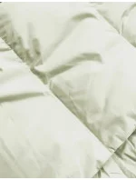 Dámska zimná bunda s golierom vo farbe celadon (23062-236)