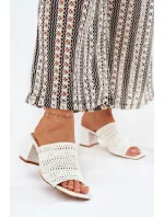 Papuče model 210780 Step in style Papuče model 210780 Step in style