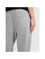 Pánske tepláky typu jogger 4F 4FRMM00TTROM1624-27M