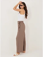 Nohavice CS SP XYS3376.96 hnedé