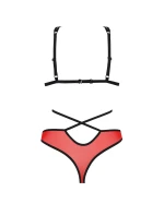 Passion Peonia set farba:červená