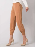 Tepláky 217 DR 25676.78P ťava